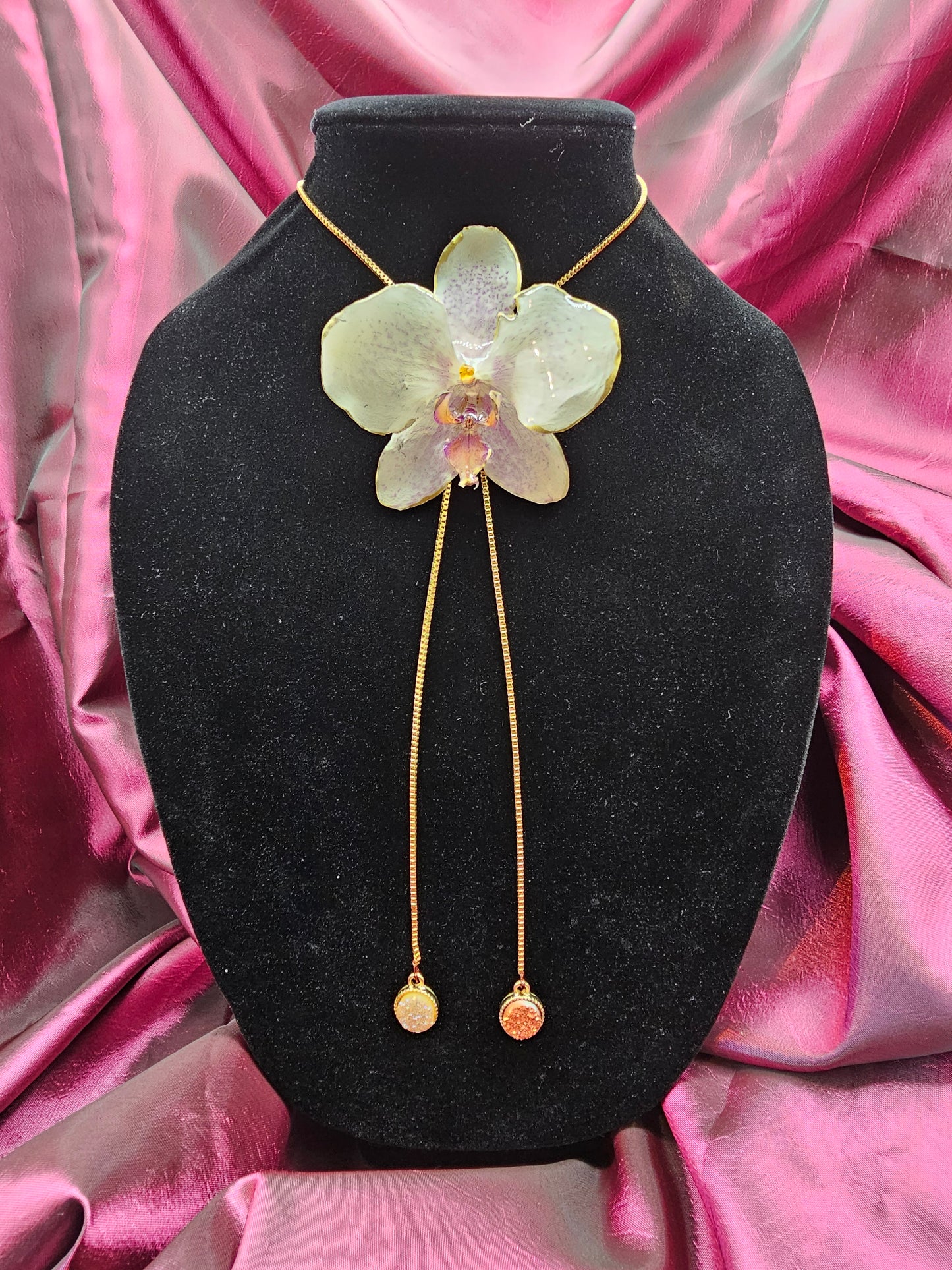 Pale Yellow Orchid