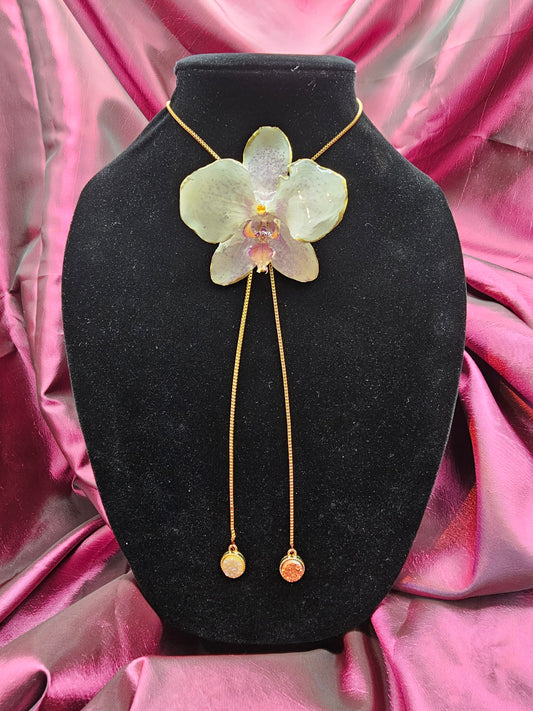 Pale Yellow Orchid