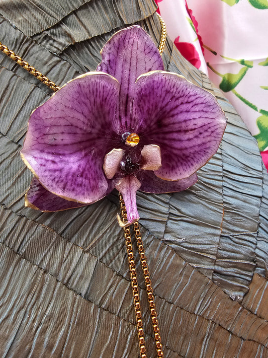 Dark Violet Beauty