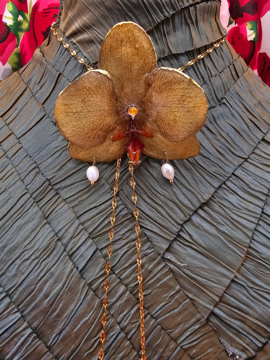 Yellow Orchid
