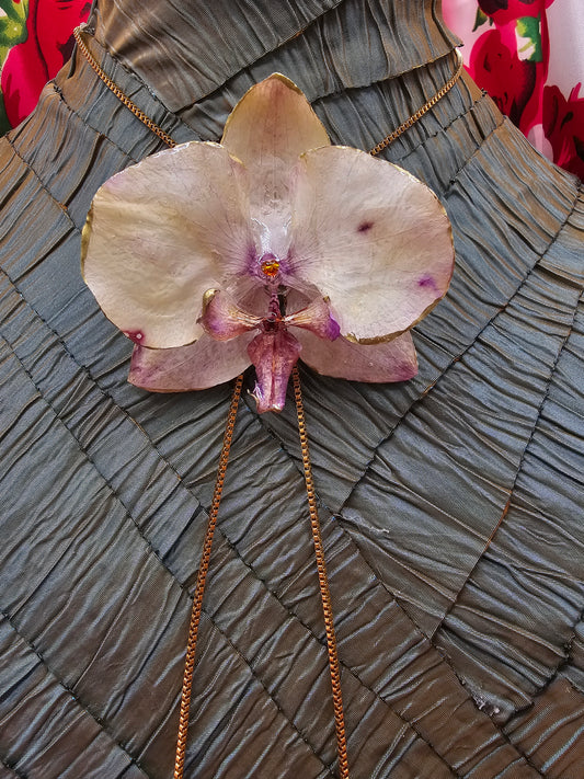 White Orchid